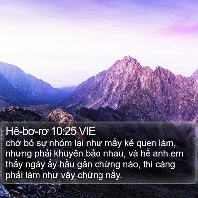 Hê-bơ-rơ 10:25 VIE Bible Verse Image
