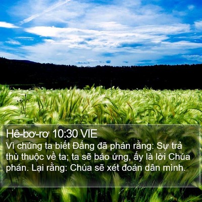 Hê-bơ-rơ 10:30 VIE Bible Verse Image