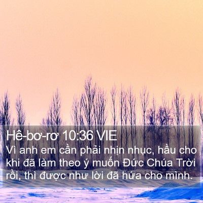 Hê-bơ-rơ 10:36 VIE Bible Verse Image
