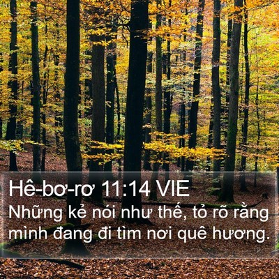 Hê-bơ-rơ 11:14 VIE Bible Verse Image