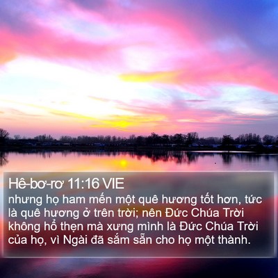 Hê-bơ-rơ 11:16 VIE Bible Verse Image