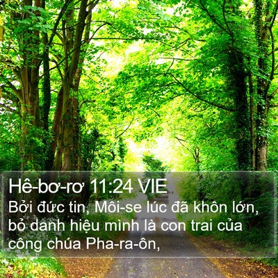 Hê-bơ-rơ 11:24 VIE Bible Verse Image