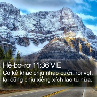 Hê-bơ-rơ 11:36 VIE Bible Verse Image