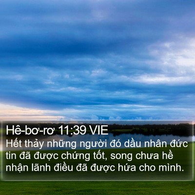 Hê-bơ-rơ 11:39 VIE Bible Verse Image