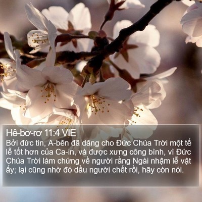 Hê-bơ-rơ 11:4 VIE Bible Verse Image