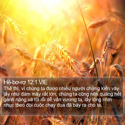 Hê-bơ-rơ 12:1 VIE Bible Verse Image