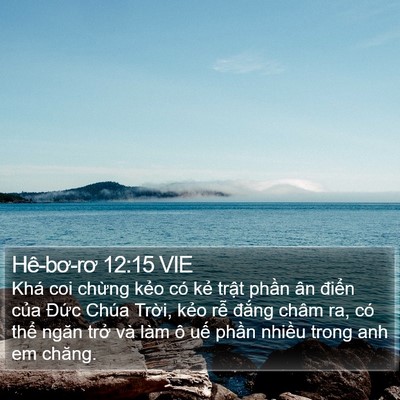 Hê-bơ-rơ 12:15 VIE Bible Verse Image
