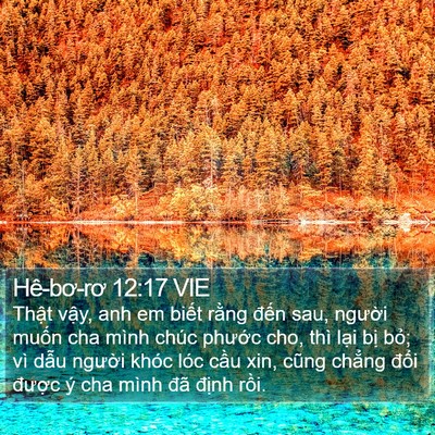 Hê-bơ-rơ 12:17 VIE Bible Verse Image