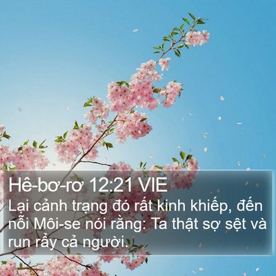 Hê-bơ-rơ 12:21 VIE Bible Verse Image