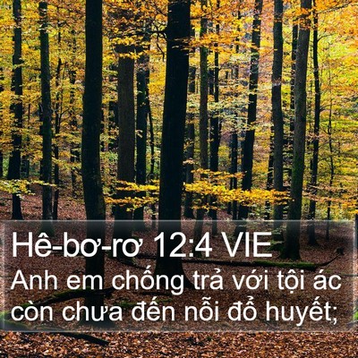 Hê-bơ-rơ 12:4 VIE Bible Verse Image