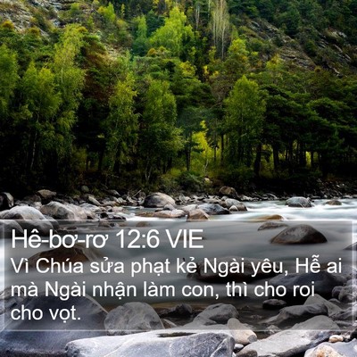 Hê-bơ-rơ 12:6 VIE Bible Verse Image