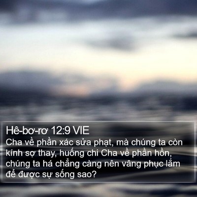 Hê-bơ-rơ 12:9 VIE Bible Verse Image