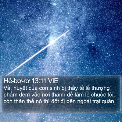Hê-bơ-rơ 13:11 VIE Bible Verse Image