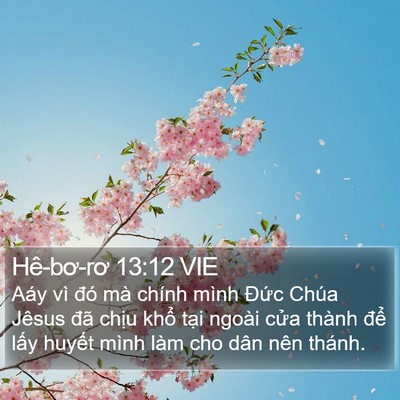 Hê-bơ-rơ 13:12 VIE Bible Verse Image