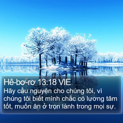 Hê-bơ-rơ 13:18 VIE Bible Verse Image