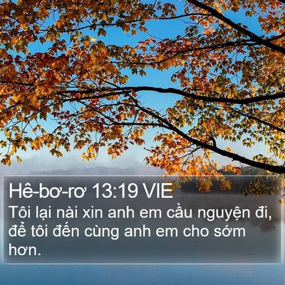 Hê-bơ-rơ 13:19 VIE Bible Verse Image