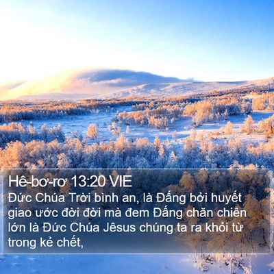 Hê-bơ-rơ 13:20 VIE Bible Verse Image