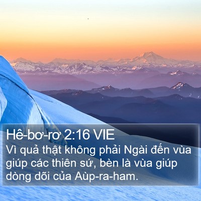 Hê-bơ-rơ 2:16 VIE Bible Verse Image
