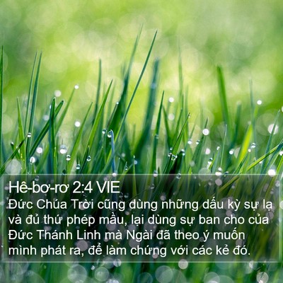 Hê-bơ-rơ 2:4 VIE Bible Verse Image