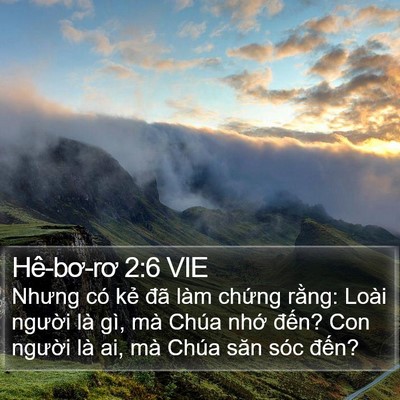 Hê-bơ-rơ 2:6 VIE Bible Verse Image