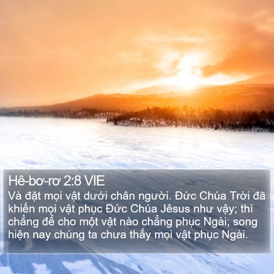 Hê-bơ-rơ 2:8 VIE Bible Verse Image