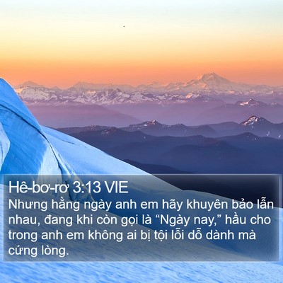 Hê-bơ-rơ 3:13 VIE Bible Verse Image