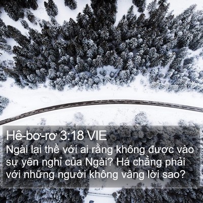 Hê-bơ-rơ 3:18 VIE Bible Verse Image