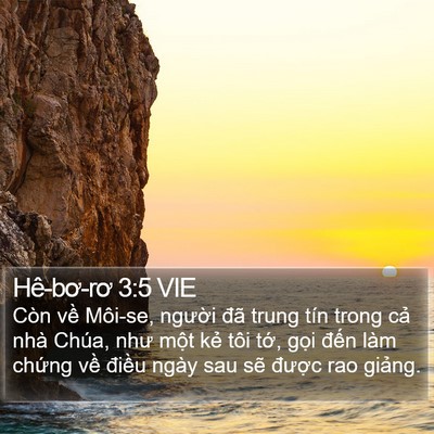 Hê-bơ-rơ 3:5 VIE Bible Verse Image