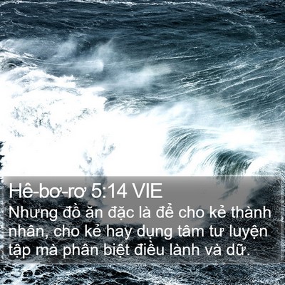 Hê-bơ-rơ 5:14 VIE Bible Verse Image