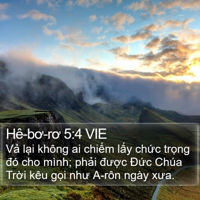 Hê-bơ-rơ 5:4 VIE Bible Verse Image