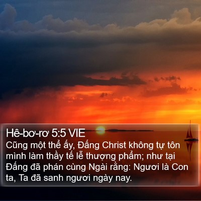Hê-bơ-rơ 5:5 VIE Bible Verse Image