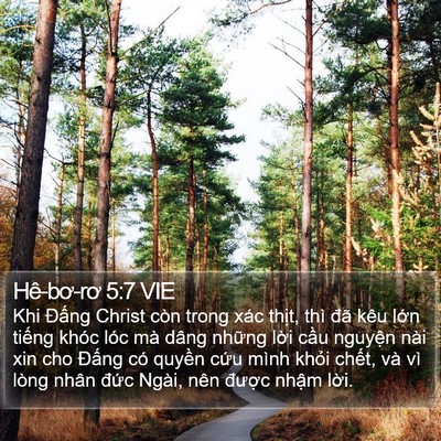 Hê-bơ-rơ 5:7 VIE Bible Verse Image