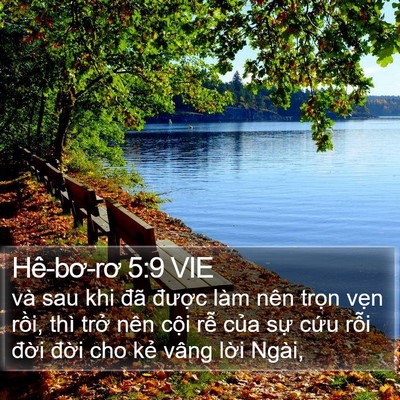 Hê-bơ-rơ 5:9 VIE Bible Verse Image