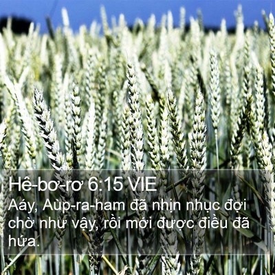 Hê-bơ-rơ 6:15 VIE Bible Verse Image