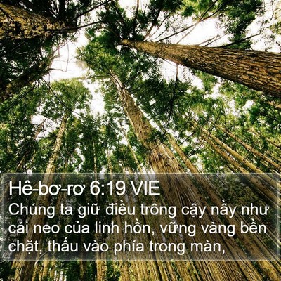 Hê-bơ-rơ 6:19 VIE Bible Verse Image