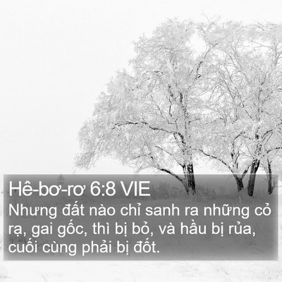 Hê-bơ-rơ 6:8 VIE Bible Verse Image