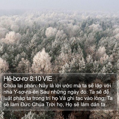 Hê-bơ-rơ 8:10 VIE Bible Verse Image