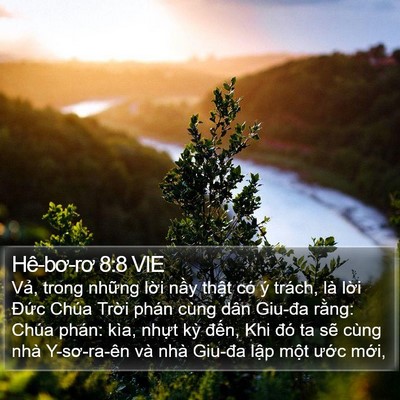 Hê-bơ-rơ 8:8 VIE Bible Verse Image
