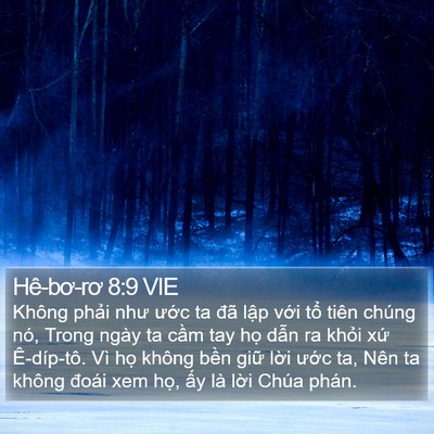 Hê-bơ-rơ 8:9 VIE Bible Verse Image