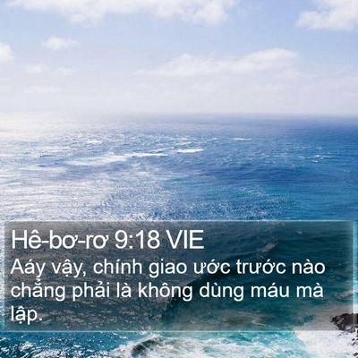 Hê-bơ-rơ 9:18 VIE Bible Verse Image