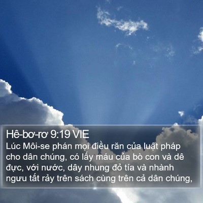Hê-bơ-rơ 9:19 VIE Bible Verse Image