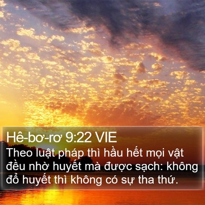 Hê-bơ-rơ 9:22 VIE Bible Verse Image