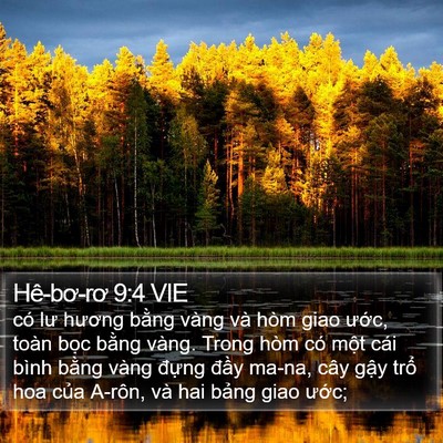 Hê-bơ-rơ 9:4 VIE Bible Verse Image