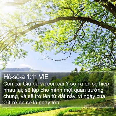 Hô-sê-a 1:11 VIE Bible Verse Image