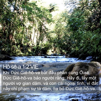 Hô-sê-a 1:2 VIE Bible Verse Image