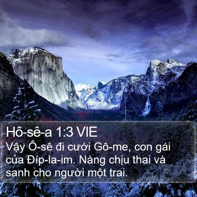 Hô-sê-a 1:3 VIE Bible Verse Image