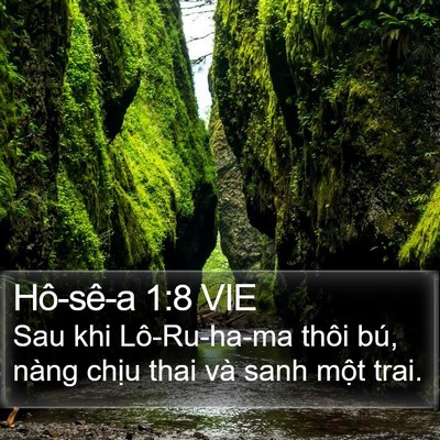Hô-sê-a 1:8 VIE Bible Verse Image
