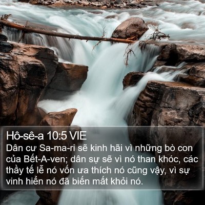 Hô-sê-a 10:5 VIE Bible Verse Image