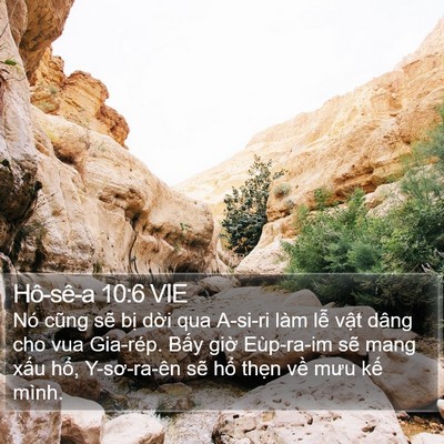 Hô-sê-a 10:6 VIE Bible Verse Image