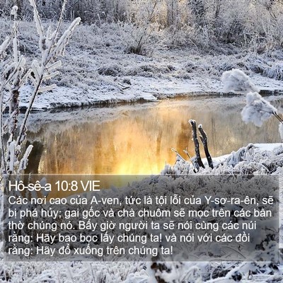 Hô-sê-a 10:8 VIE Bible Verse Image